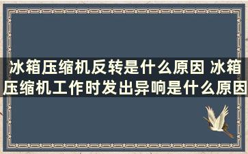 冰箱压缩机反转是什么原因 冰箱压缩机工作时发出异响是什么原因